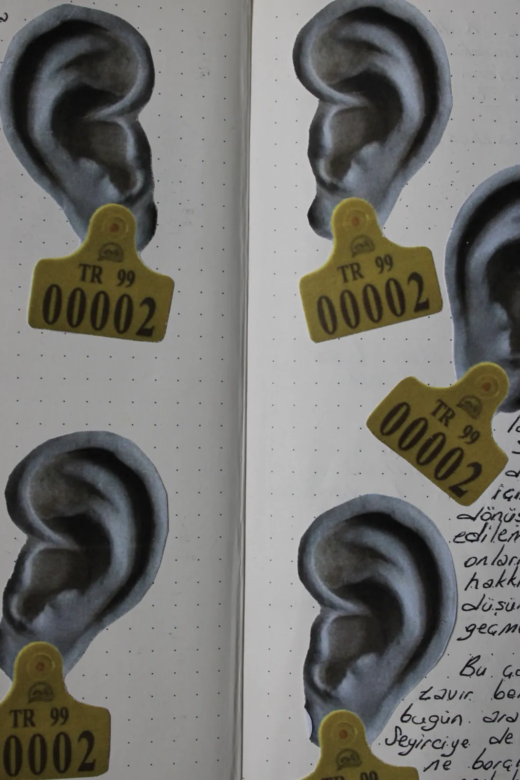 Research Notebooks