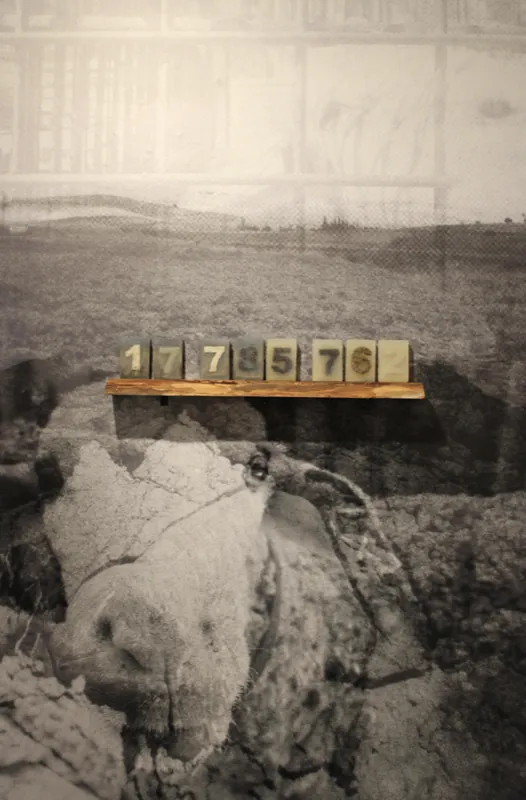 From the exhibition and the studio 3